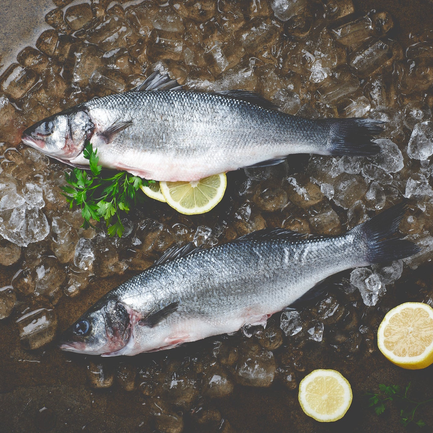 4x Bass Fillets (Frozen)