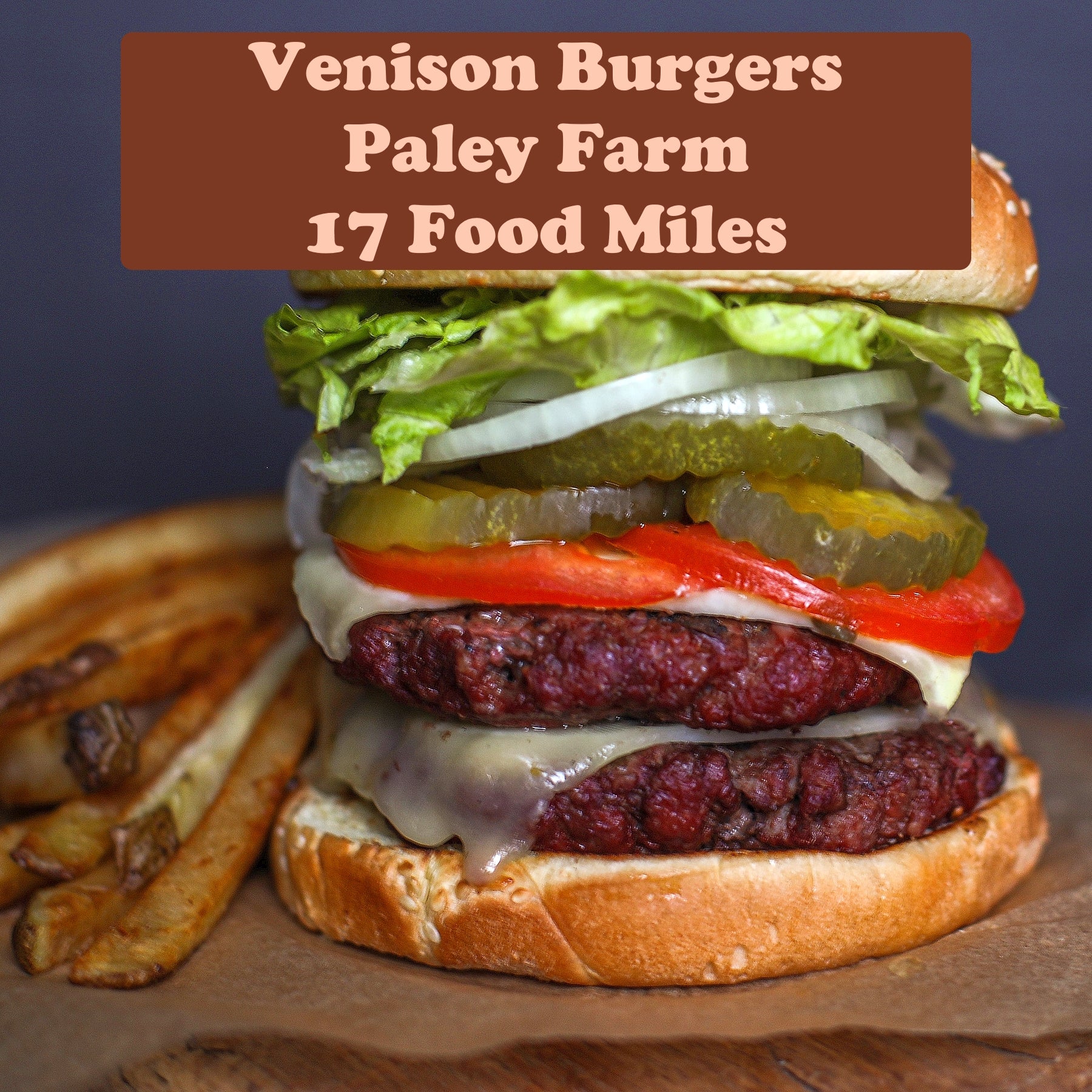 Venison Burgers x 4