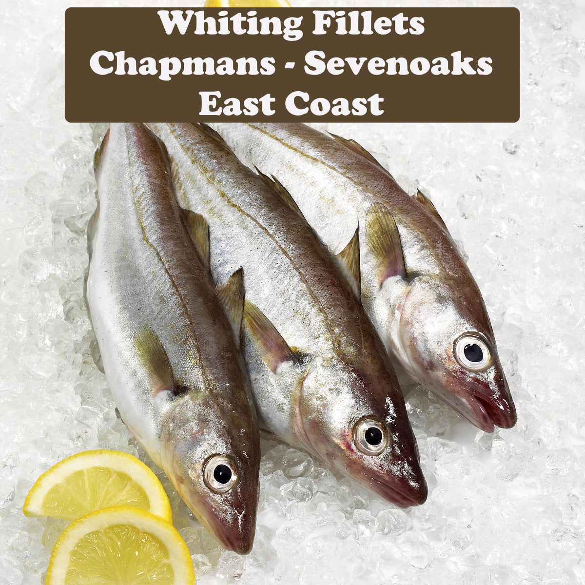 Large Whiting Fillets x2