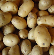 Potatoes