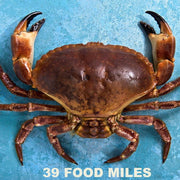 Dressed Crab